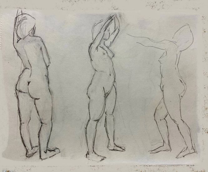 Model (59)